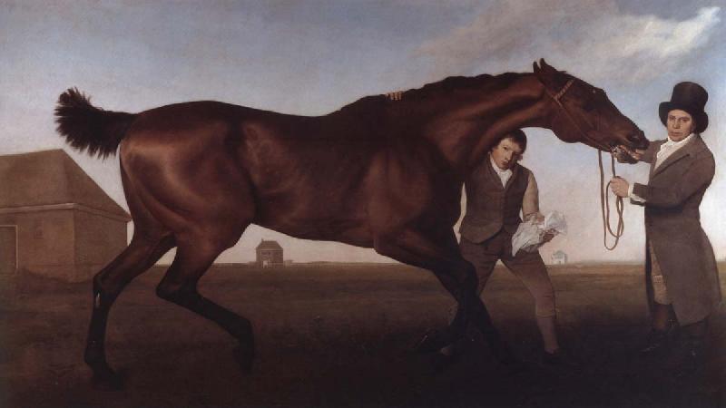 George Stubbs Hambletonian, Rubbing Down Sweden oil painting art